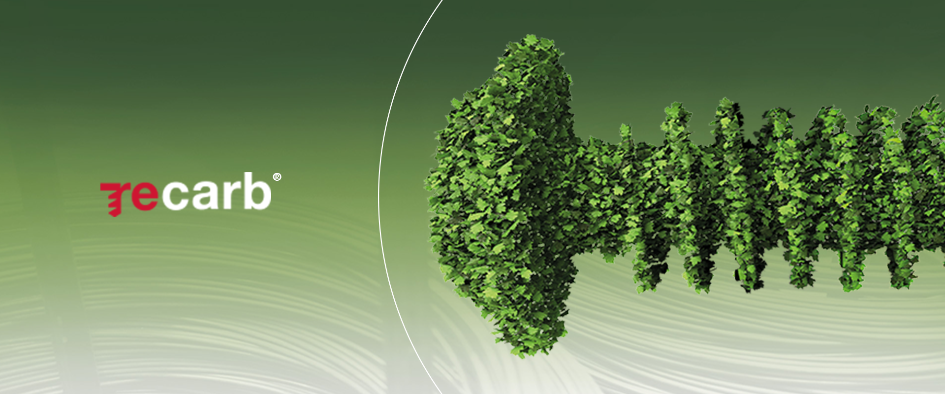 Schraube mit recarb Logo